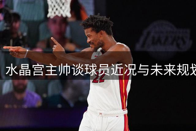 水晶宫主帅谈球员近况与未来规划